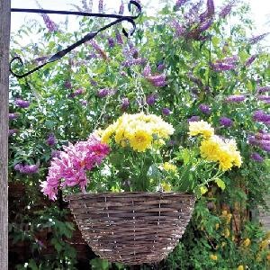 GAZEBOS xx - Hanging baskets and planters